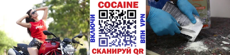 Купить  Усть-Кут  COCAIN Fish Scale 