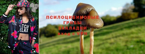 мдпв Бронницы