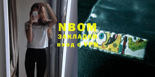 молекула духа Бородино