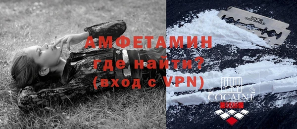 молекула духа Бородино