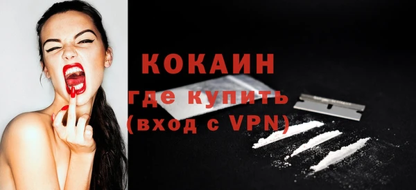молекула духа Бородино