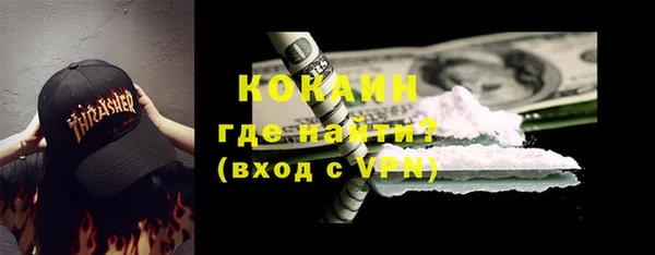 молекула духа Бородино
