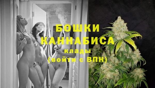 мдпв Бронницы